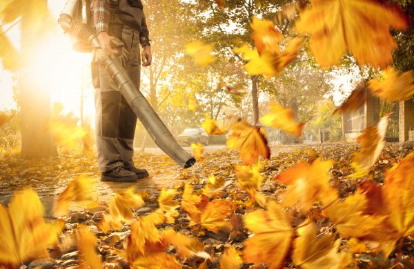 Leaf Blowing Service in Los Gatos