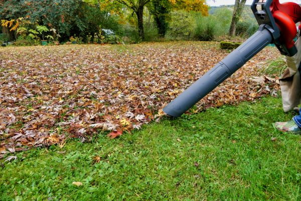 Leaf Vacuuming Service in Los Gatos