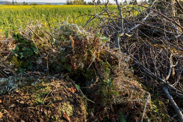 Brush Disposal in Los Gatos