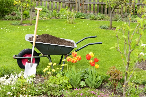 Cost of Spring Yard Cleanup in Los Gatos