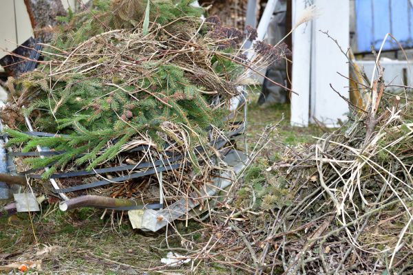 Yard Waste Removal Service in Los Gatos