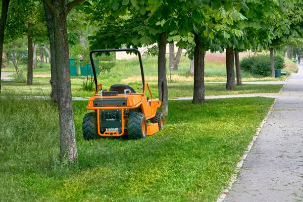 Landscaping Cleanup Service in Los Gatos
