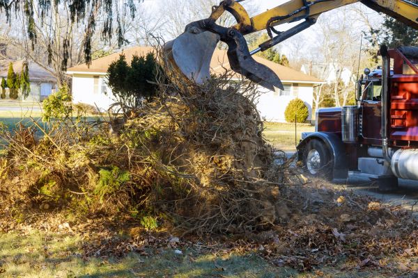 Storm Debris Removal in Los Gatos