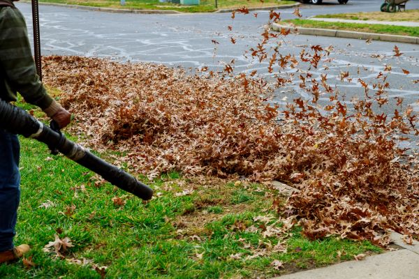 Cost of Garden Leaf Removal in Los Gatos