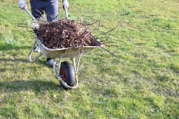 Yard Brush Removal in Los Gatos