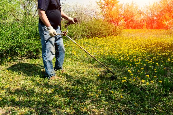 Yard Clearing Service in Los Gatos