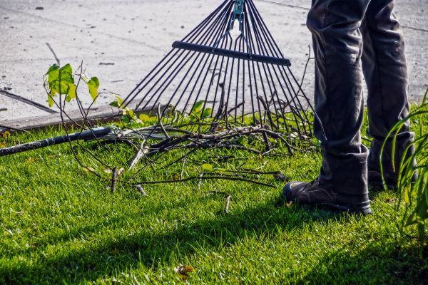 Yard Debris Cleanup in Los Gatos