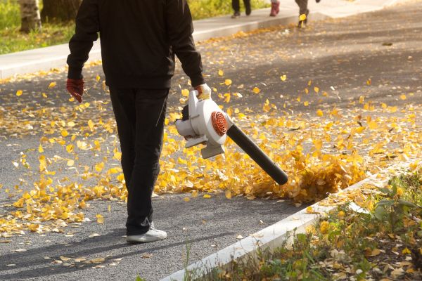 Commercial Leaf Removal in Los Gatos